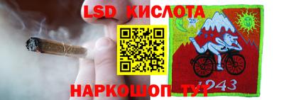 прущие грибы Наро-Фоминск