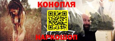 сатива Нальчик