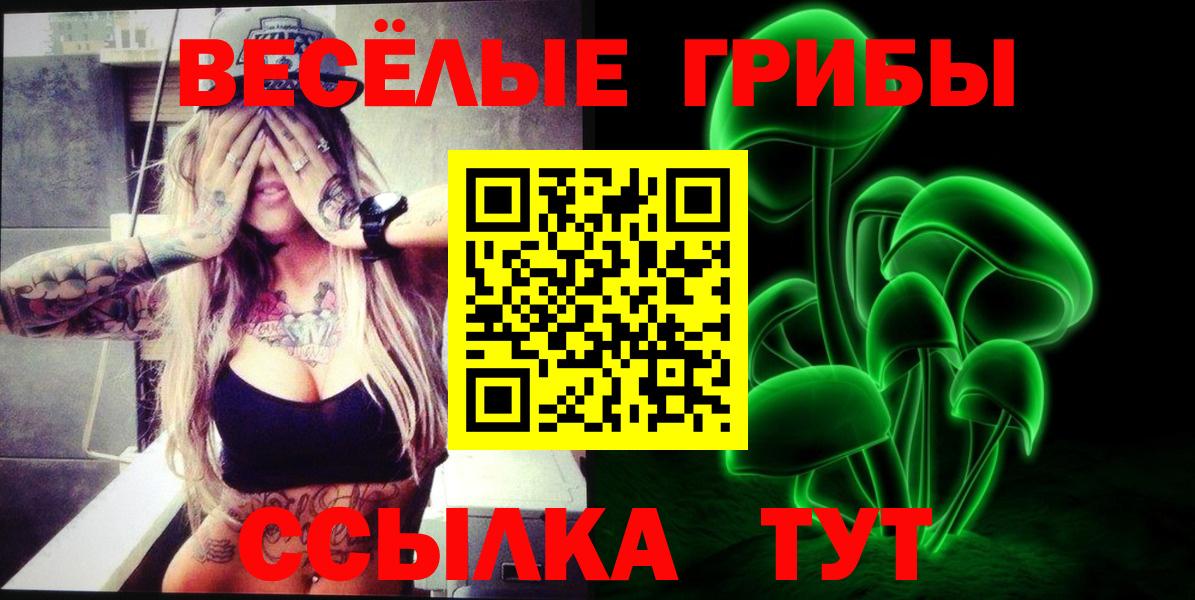 Арсеньев  Галлюциногенные грибы мицелий  Вход с VPN 