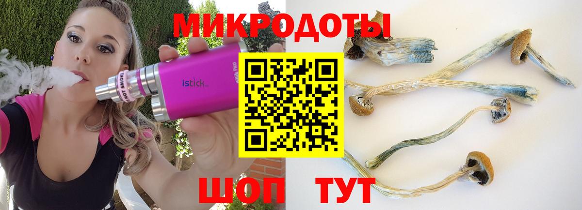 Галлюциногенные грибы GOLDEN TEACHER Арсеньев